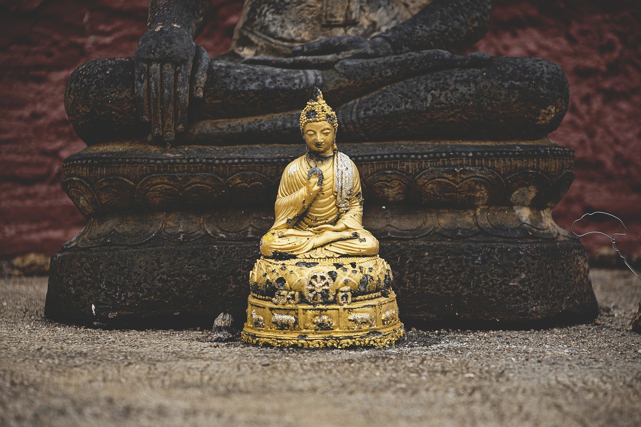 艺华卫视星闻快报，探索娱乐圈最新动态