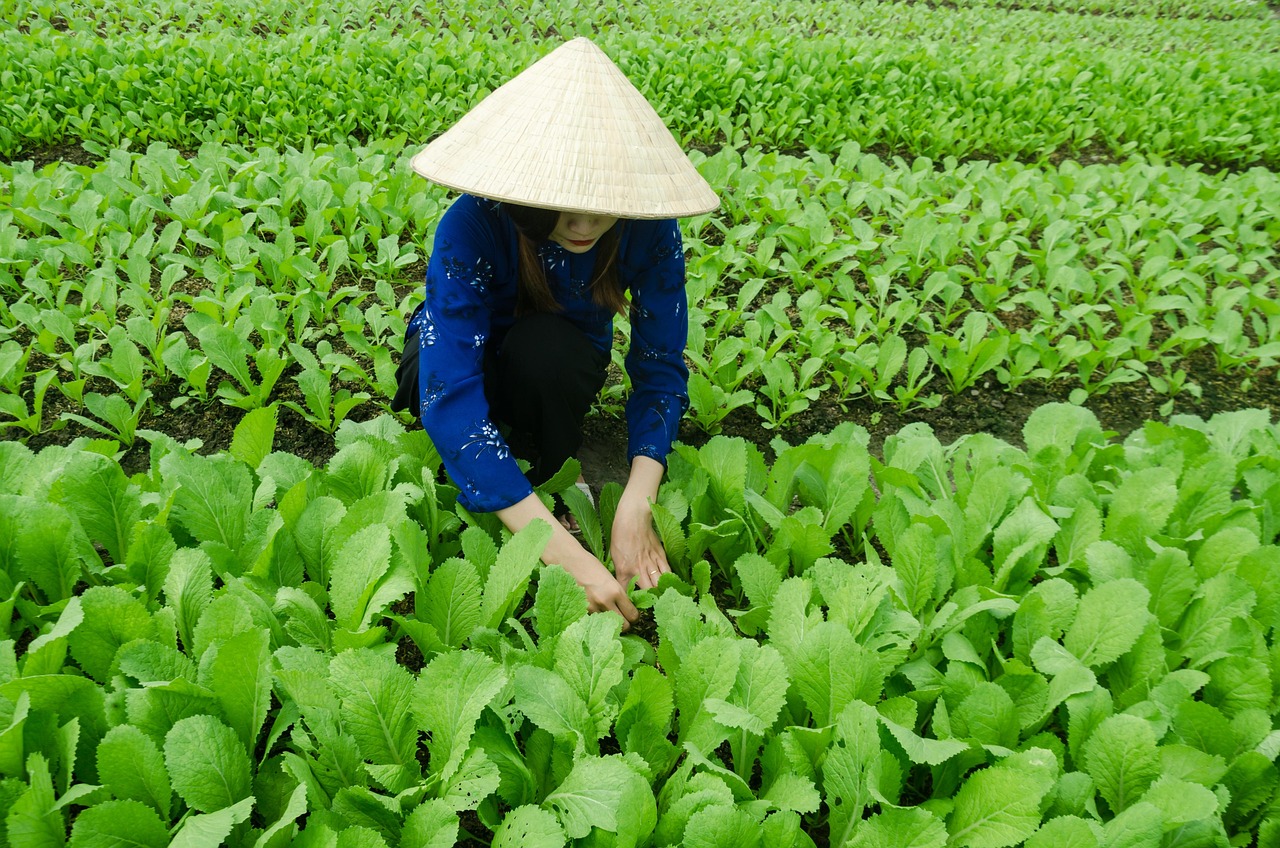 合肥京商商贸城最新动态,合肥京商商贸城最新动态，繁荣发展的商贸新地标