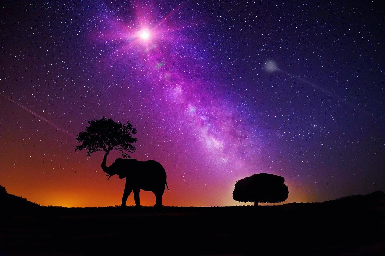 秦姓明星，娱乐圈中的璀璨星辰