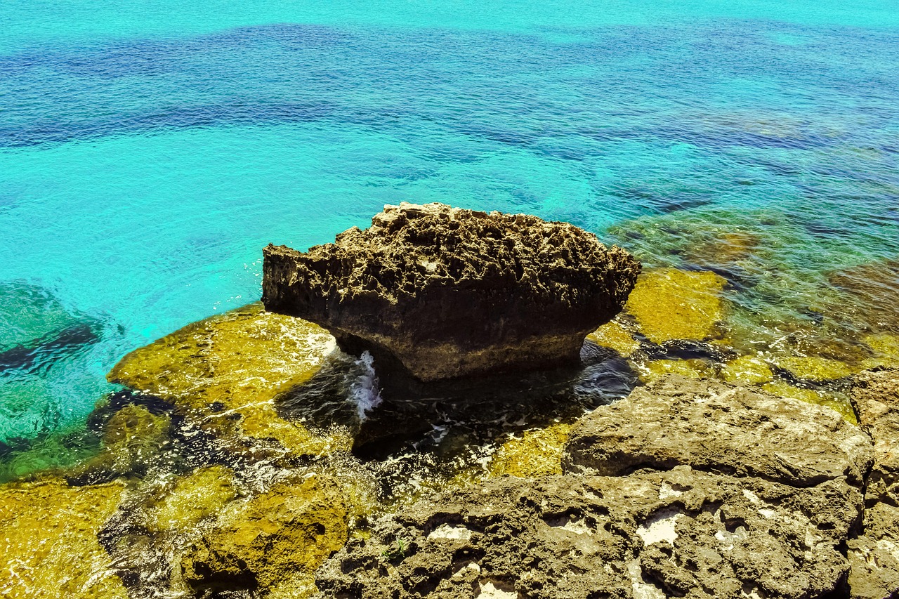 海盗卡组全新发布，探索海洋宝藏的神秘之旅