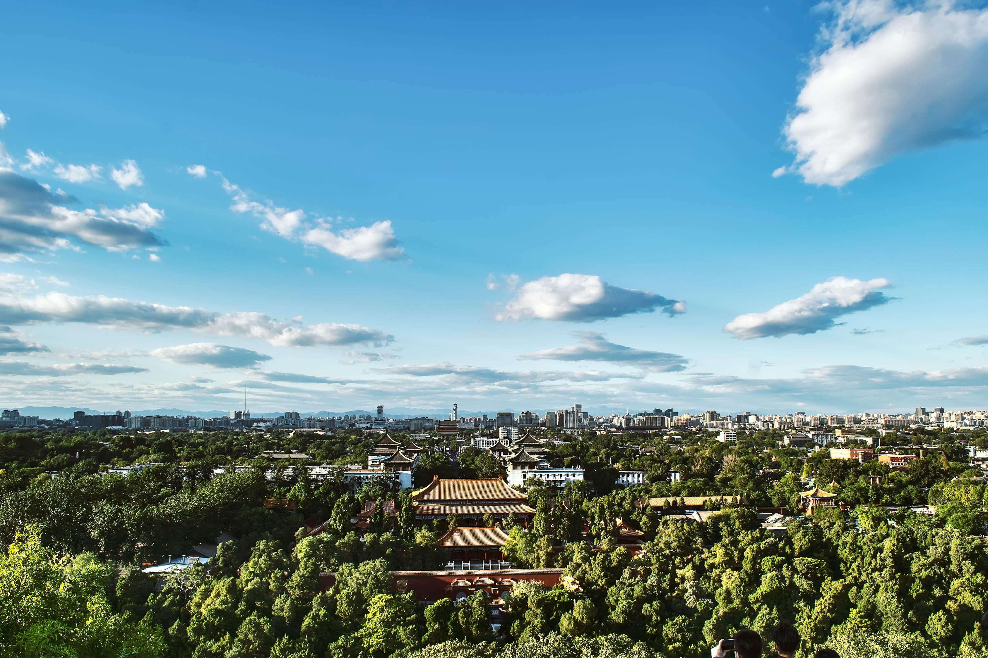 西宁城市发展与民生改善的最新动态，城市脉搏与民生脚步同步前行。